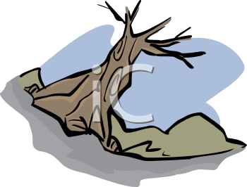 Nature and Scenic Clipart
