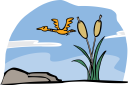 Bird Clipart