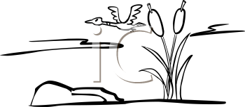Bird Clipart