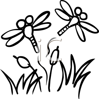 Insect Clipart
