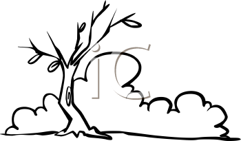 Nature and Scenic Clipart
