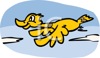 Bird Clipart