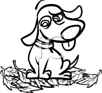 Pet Clipart