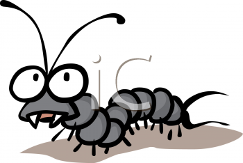 Insect Clipart