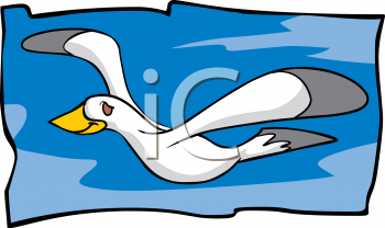Bird Clipart