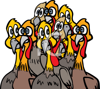 Bird Clipart