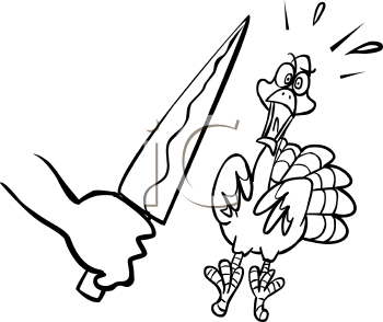 Bird Clipart