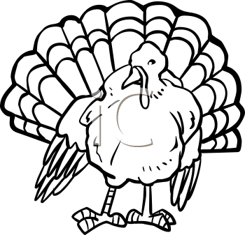 Bird Clipart