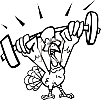 Bird Clipart
