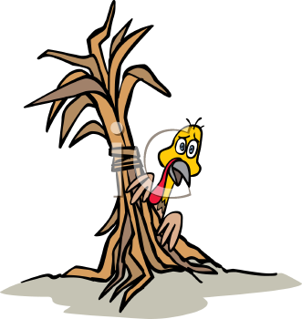 Bird Clipart
