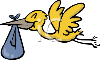 Bird Clipart
