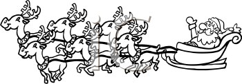 Insect Clipart
