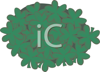 Nature and Scenic Clipart