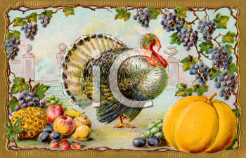 Bird Clipart