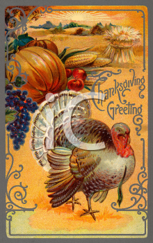 Bird Clipart