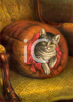 Pet Clipart