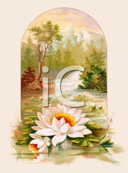 Nature and Scenic Clipart