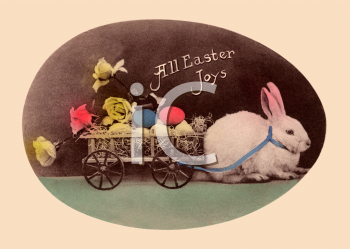 Pet Clipart