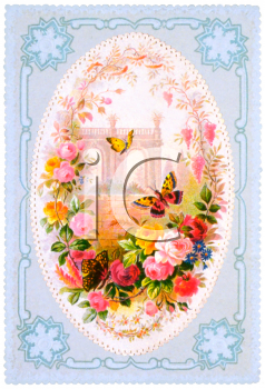 Insect Clipart