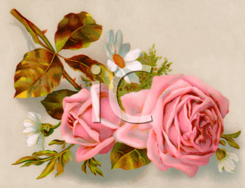 Flower Clipart