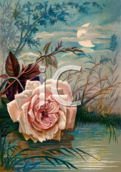 Flower Clipart