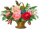 Flower Clipart