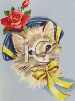 Pet Clipart