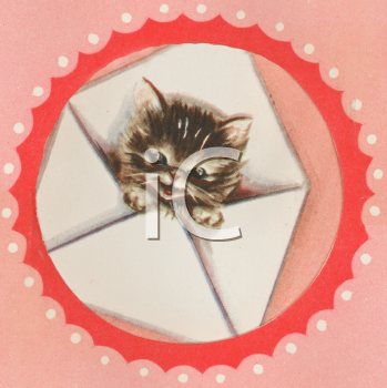 Pet Clipart