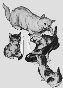 Pet Clipart