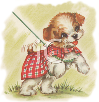 Pet Clipart