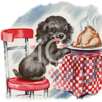 Pet Clipart