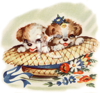 Pet Clipart