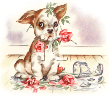 Pet Clipart