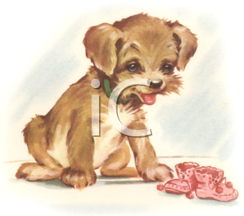 Pet Clipart