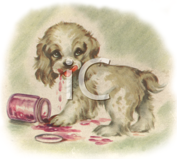 Pet Clipart