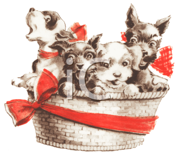 Pet Clipart