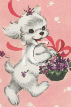 Pet Clipart