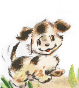 Pet Clipart