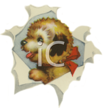 Pet Clipart