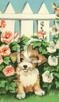 Pet Clipart