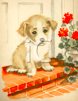 Pet Clipart