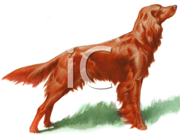 Dog Clipart