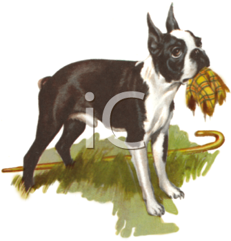 Dog Clipart