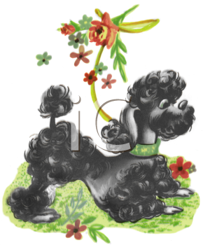 Pet Clipart