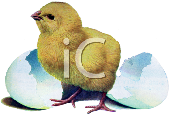 Farm Animal Clipart