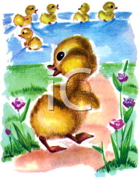 Livestock Clipart