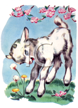 Livestock Clipart