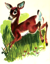 Deer Clipart