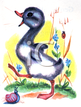 Farm Animal Clipart