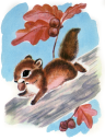 Rodent Clipart
